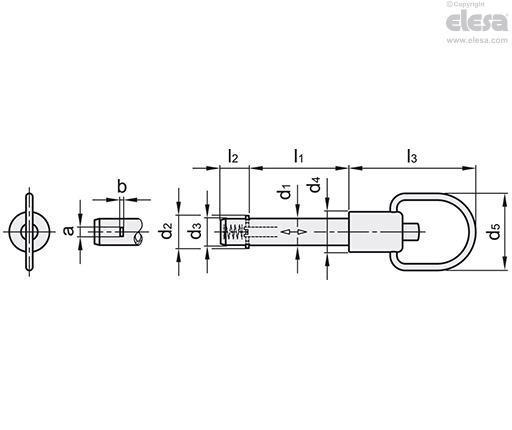 GN 214.3 | Lock pins | Elesa